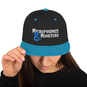 Microphones & Monsters Snapback